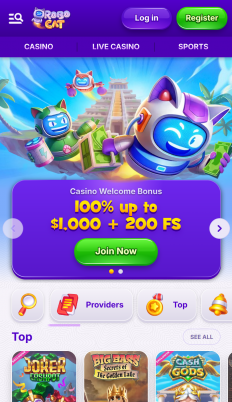 RoboCat Casino Screenshot