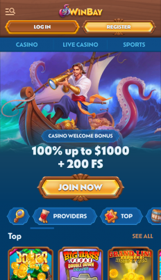 WinBay Casino Screenshot
